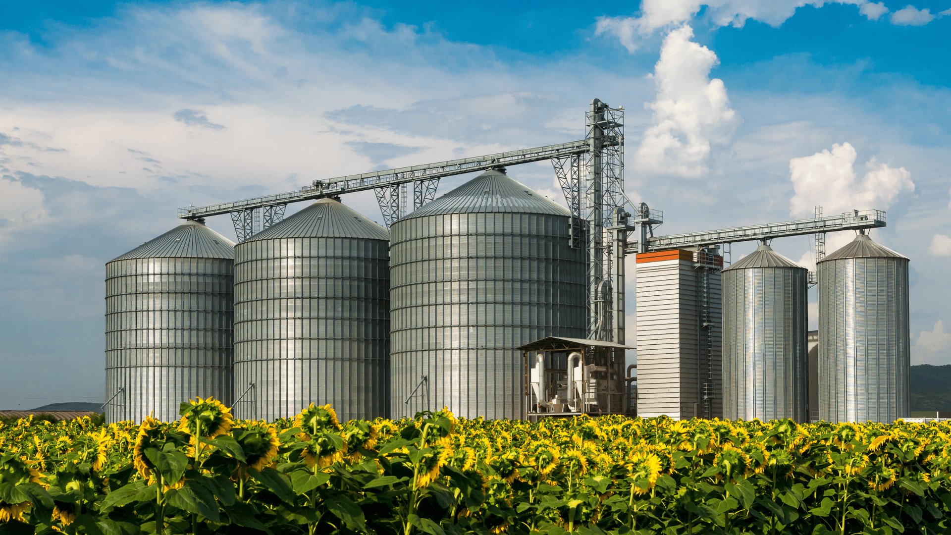 Descubra a importância da limpeza interna de silos em Vila Velha, ES, e como a Jan-Pro Brasil pode ajudar.